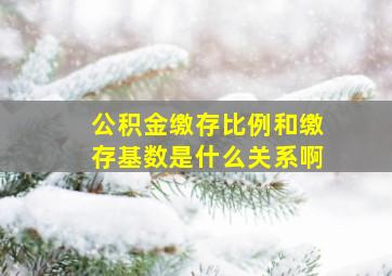 公积金缴存比例和缴存基数是什么关系啊