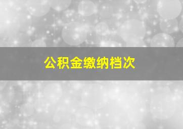 公积金缴纳档次