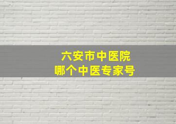 六安市中医院哪个中医专家号