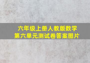 六年级上册人教版数学第六单元测试卷答案图片