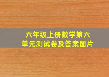 六年级上册数学第六单元测试卷及答案图片