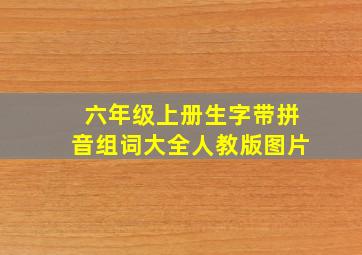 六年级上册生字带拼音组词大全人教版图片