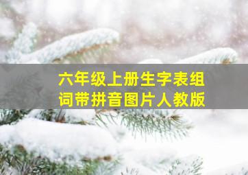 六年级上册生字表组词带拼音图片人教版