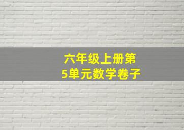 六年级上册第5单元数学卷子