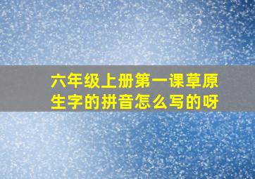 六年级上册第一课草原生字的拼音怎么写的呀