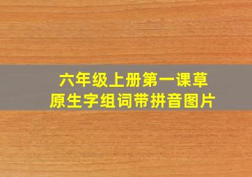 六年级上册第一课草原生字组词带拼音图片