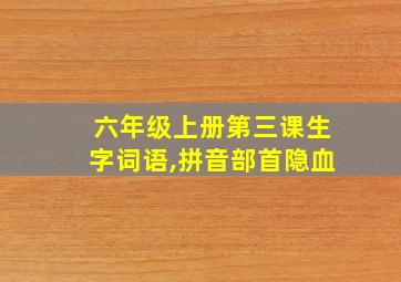 六年级上册第三课生字词语,拼音部首隐血