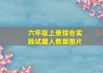 六年级上册综合实践试题人教版图片