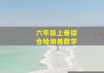 六年级上册综合检测卷数学