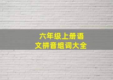 六年级上册语文拼音组词大全