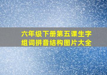 六年级下册第五课生字组词拼音结构图片大全