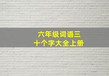 六年级词语三十个字大全上册