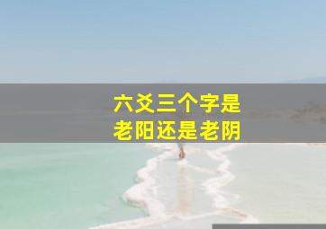 六爻三个字是老阳还是老阴