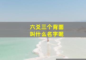 六爻三个背面叫什么名字呢