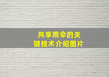 共享雨伞的关键技术介绍图片