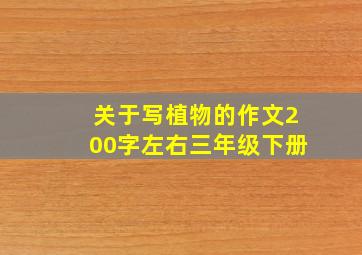 关于写植物的作文200字左右三年级下册