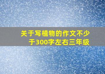 关于写植物的作文不少于300字左右三年级