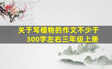 关于写植物的作文不少于300字左右三年级上册