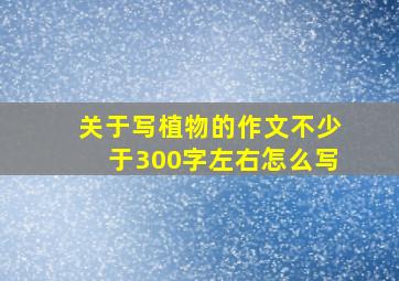 关于写植物的作文不少于300字左右怎么写