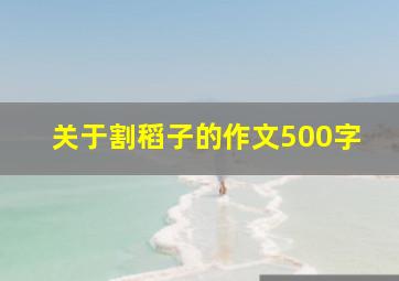 关于割稻子的作文500字