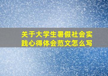 关于大学生暑假社会实践心得体会范文怎么写