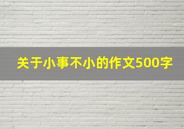 关于小事不小的作文500字