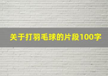 关于打羽毛球的片段100字