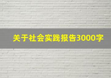 关于社会实践报告3000字