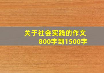 关于社会实践的作文800字到1500字