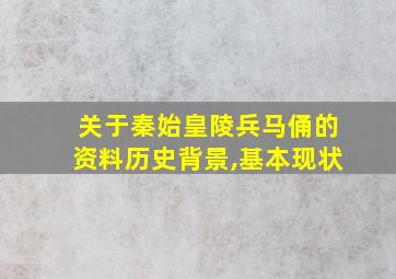 关于秦始皇陵兵马俑的资料历史背景,基本现状