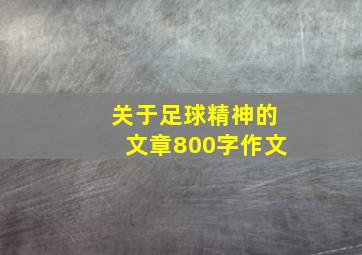 关于足球精神的文章800字作文