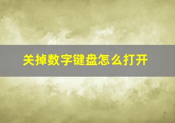 关掉数字键盘怎么打开