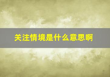 关注情境是什么意思啊