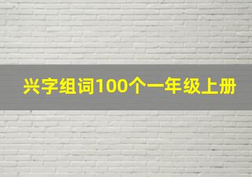 兴字组词100个一年级上册