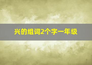 兴的组词2个字一年级