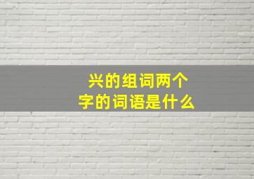 兴的组词两个字的词语是什么