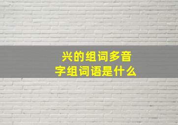 兴的组词多音字组词语是什么