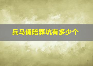 兵马俑陪葬坑有多少个