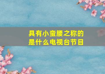 具有小蛮腰之称的是什么电视台节目