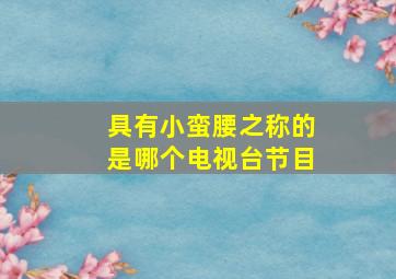 具有小蛮腰之称的是哪个电视台节目