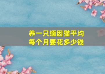 养一只缅因猫平均每个月要花多少钱