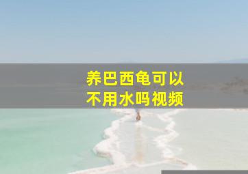 养巴西龟可以不用水吗视频