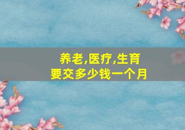 养老,医疗,生育要交多少钱一个月