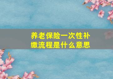 养老保险一次性补缴流程是什么意思