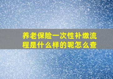 养老保险一次性补缴流程是什么样的呢怎么查