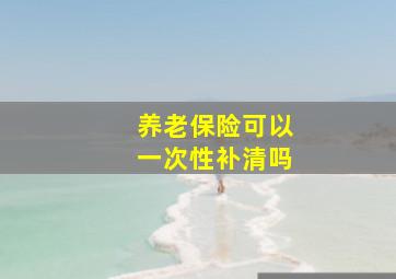 养老保险可以一次性补清吗