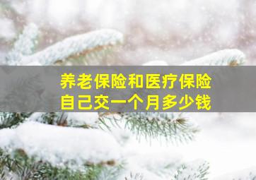 养老保险和医疗保险自己交一个月多少钱