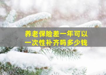 养老保险差一年可以一次性补齐吗多少钱