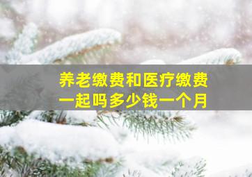 养老缴费和医疗缴费一起吗多少钱一个月