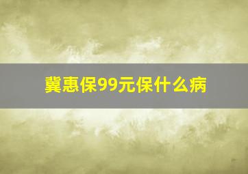 冀惠保99元保什么病